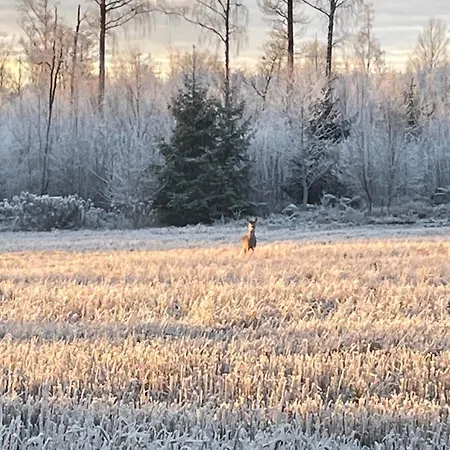 Gandalf * Fredrikstad